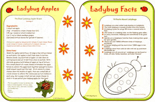 Ladybug Facts & Description