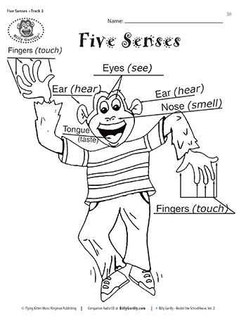 Teaching Children About The Five Senses Sing Laugh Learn