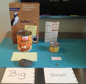 Big or Small / Little: Identify and Label Size Concepts.