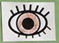 Eye