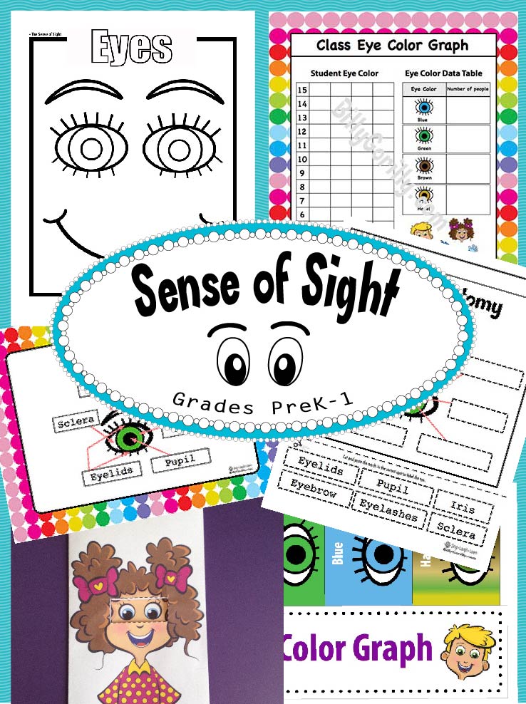 Teaching Kids About The Sense of Sight | Sing Laugh Learn